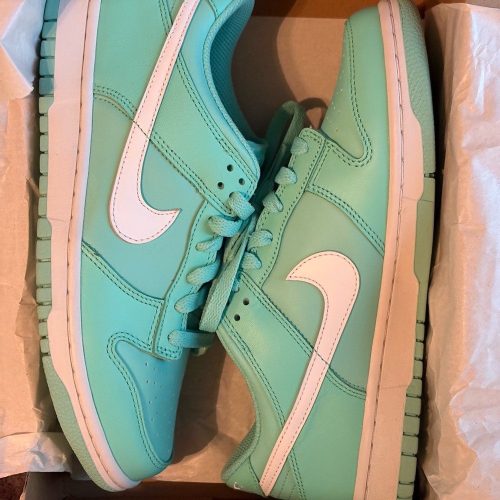 Nike dunks low Aqua Sneakers with White Logo